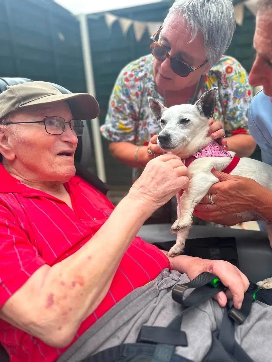 A resident enjoying a visit from a therapy dog, with members of the care team